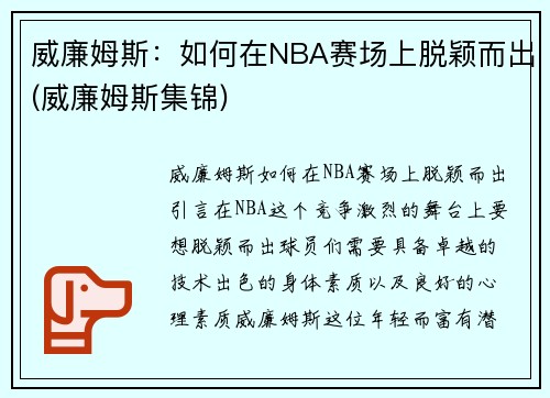 威廉姆斯：如何在NBA赛场上脱颖而出(威廉姆斯集锦)