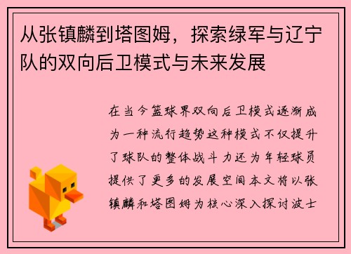 从张镇麟到塔图姆，探索绿军与辽宁队的双向后卫模式与未来发展