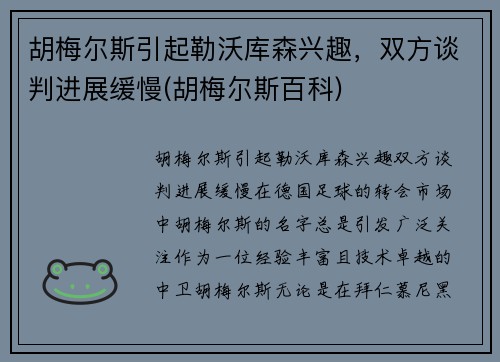胡梅尔斯引起勒沃库森兴趣，双方谈判进展缓慢(胡梅尔斯百科)