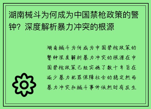 湖南械斗为何成为中国禁枪政策的警钟？深度解析暴力冲突的根源