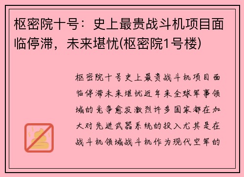 枢密院十号：史上最贵战斗机项目面临停滞，未来堪忧(枢密院1号楼)