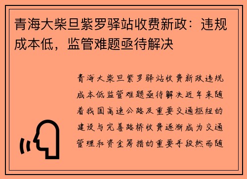 青海大柴旦紫罗驿站收费新政：违规成本低，监管难题亟待解决