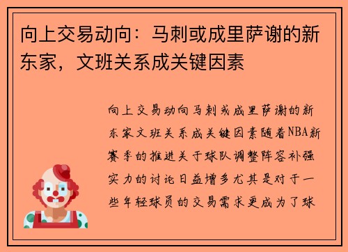 向上交易动向：马刺或成里萨谢的新东家，文班关系成关键因素